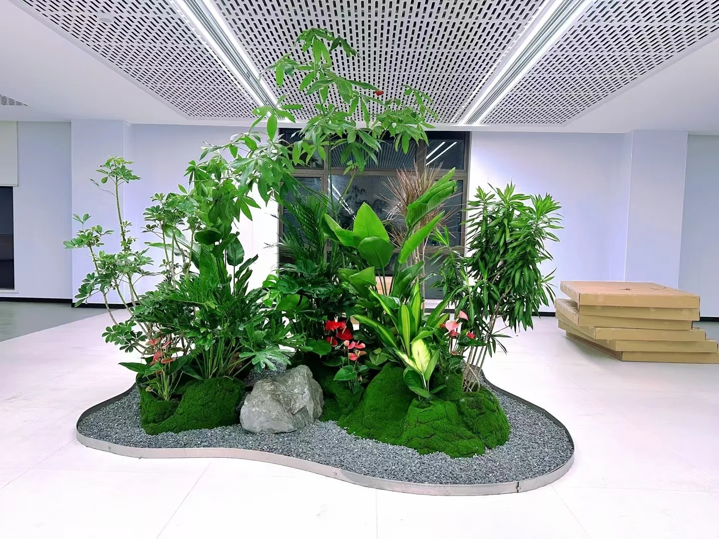 优质服务的海曙花卉出租，魅力无法挡！